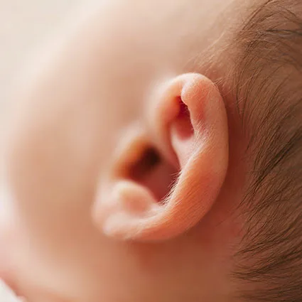 baby ear