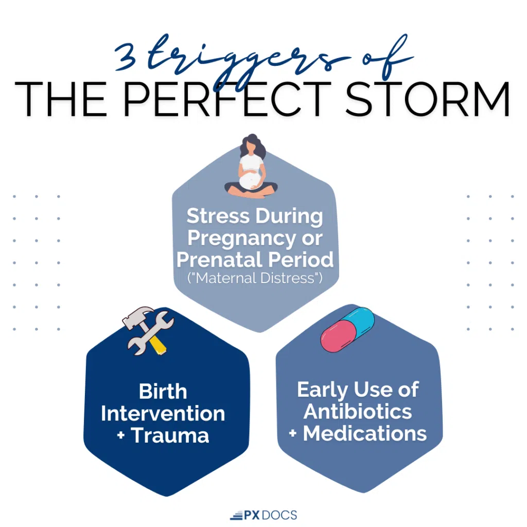 PX Docs graphic: the three triggers of the Perfect Storm: stress during pregnancy or the prenatal period, birth intervention and trauma, and early use of antibiotics and medications.